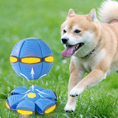 AeroFetch, Flying Saucer Ball for Dogs