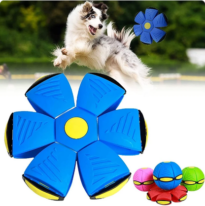 AeroFetch, Flying Saucer Ball for Dogs